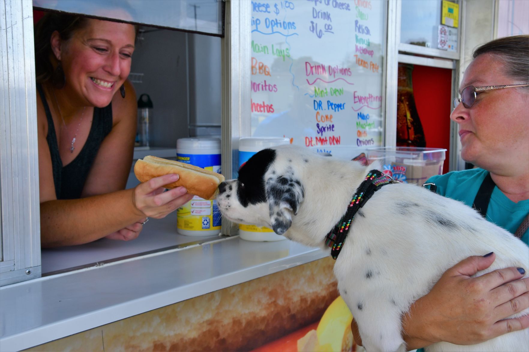 Franklin County Animal Shelter Grand Opening